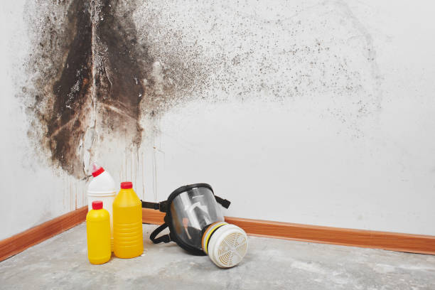 Best Crawl Space Mold Removal  in Fremont, OH